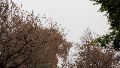Muchas nubes para el domingo y una semana de temperaturas moderadas